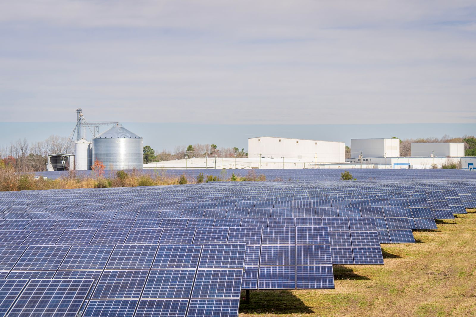 Rows of solar panels for an agricultural solar water pump setup